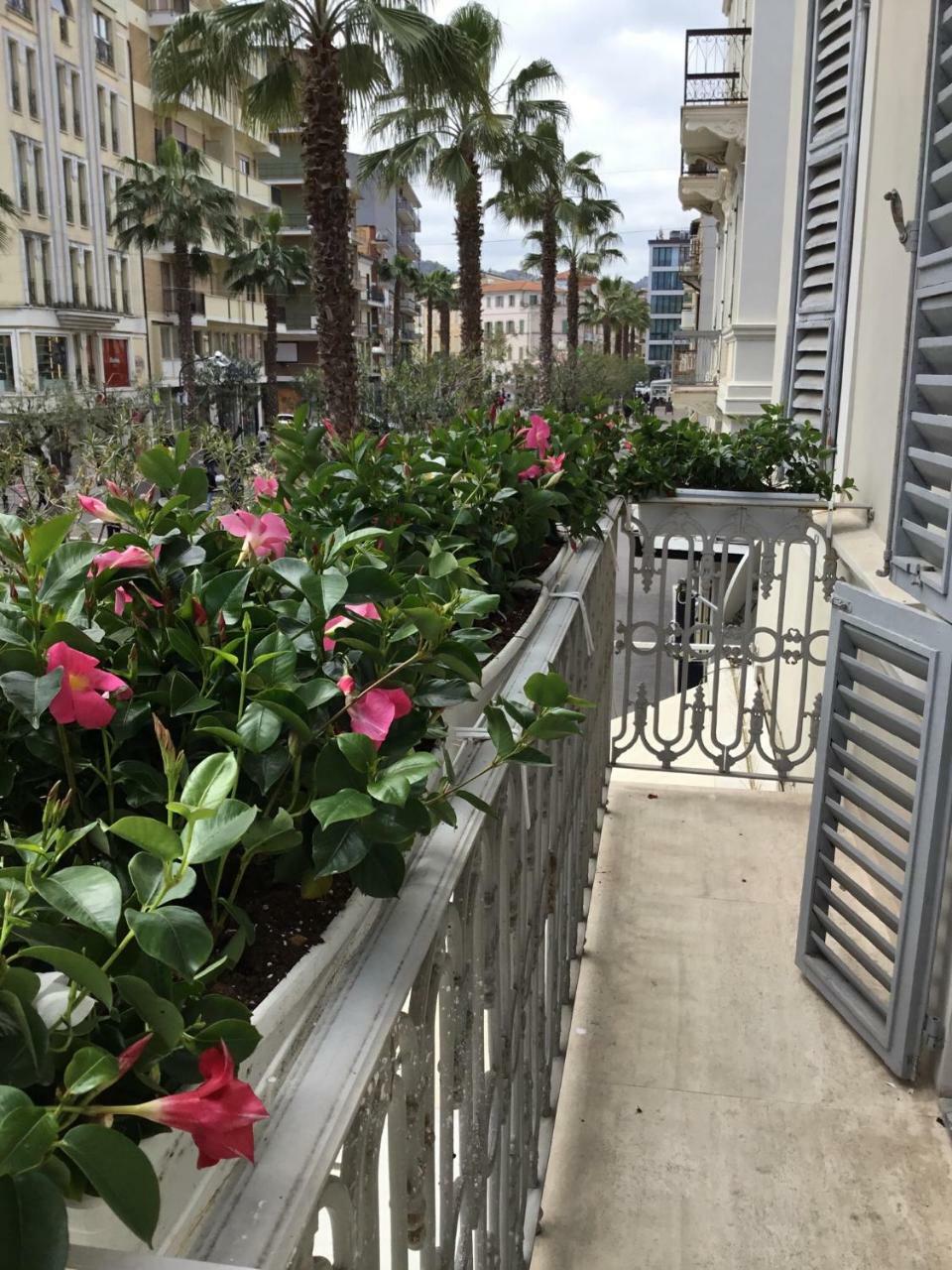 Palazzo Dei Grifoni - Luxury Suites - San Benedetto del Tronto Exteriér fotografie